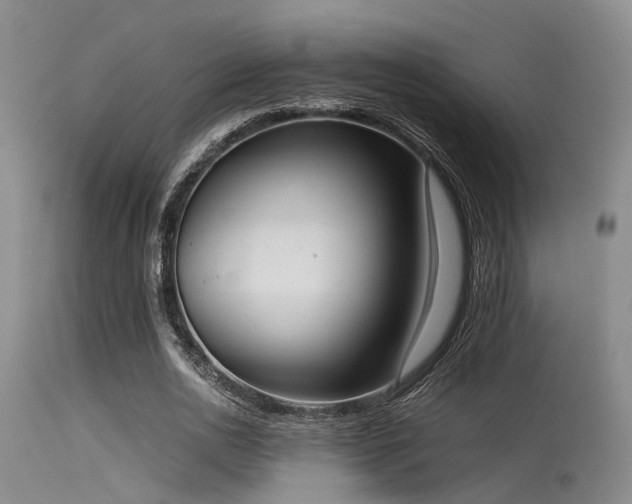 X0000115620726200911101415