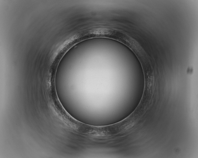 X0000115620727200911101415