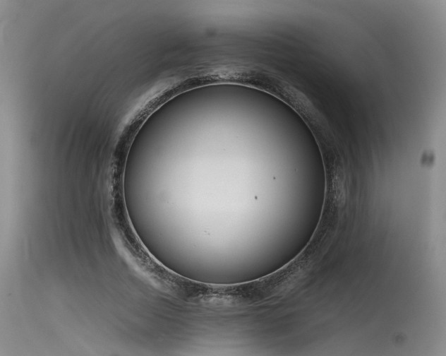 X0000115620730200911101415