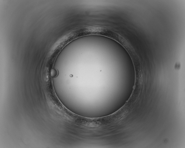 X0000115620731200911101415