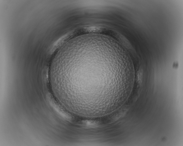 X0000115620733200911101415