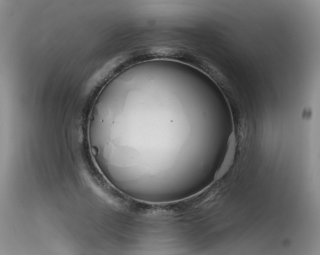 X0000115620734200911101415