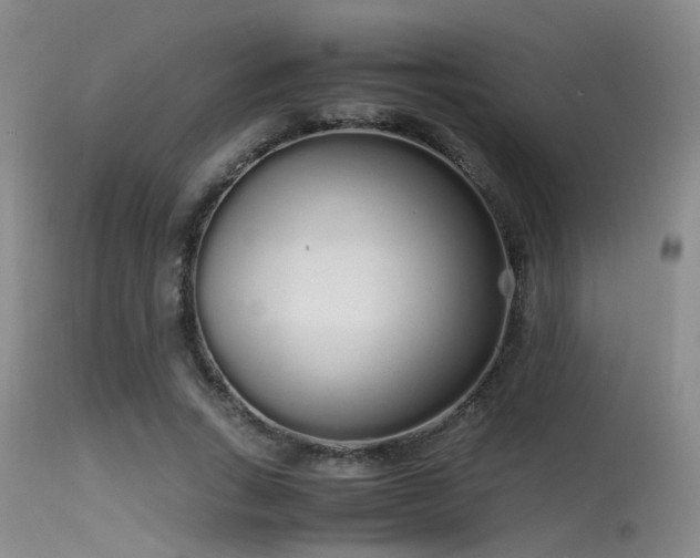 X0000115620735200911101415