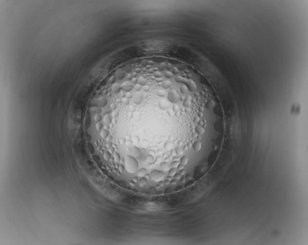 X0000115620737200911101415