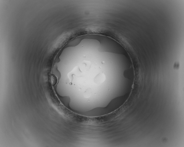 X0000115620738200911101415