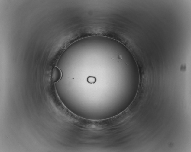 X0000115620739200911101415