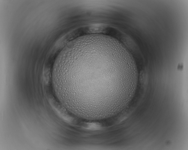 X0000115620741200911101415