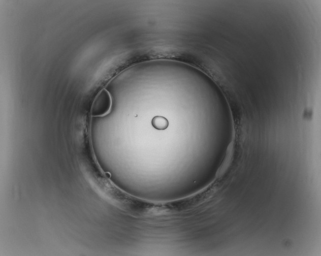 X0000115620742200911101415