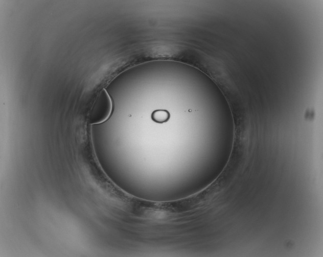 X0000115620743200911101415