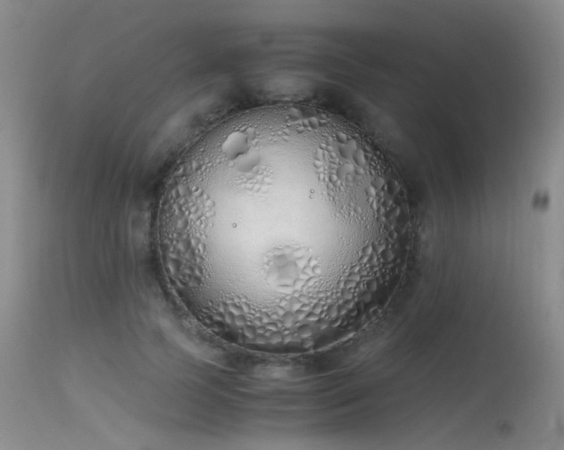 X0000115620745200911101415