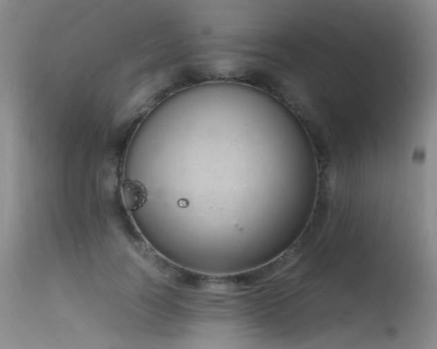 X0000115620746200911101415