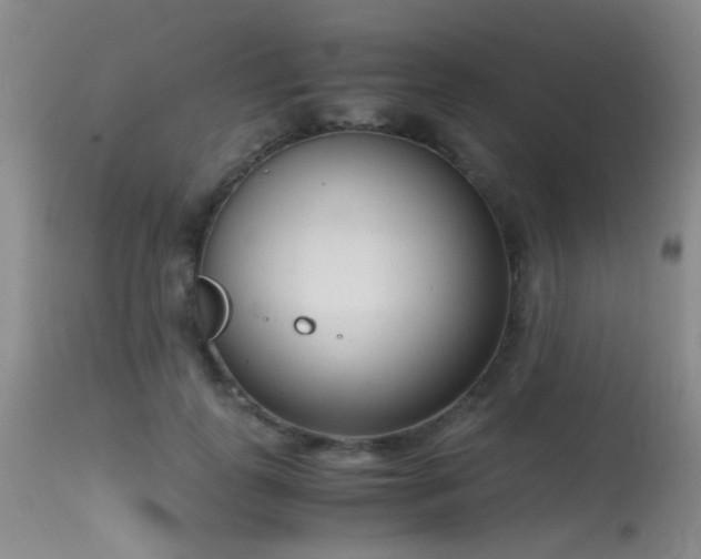 X0000115620747200911101415