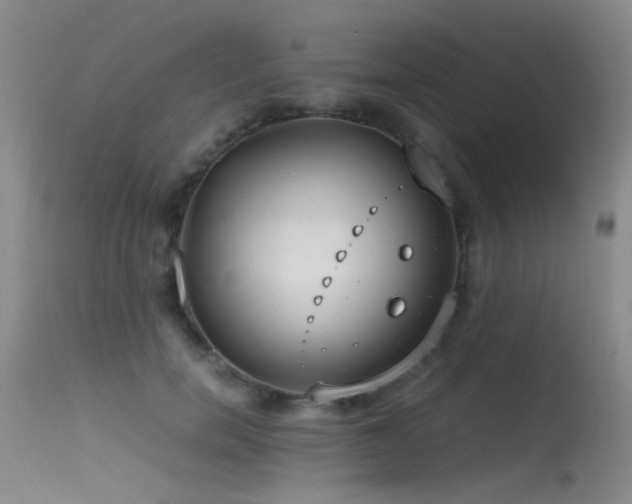 X0000115620750200911101415