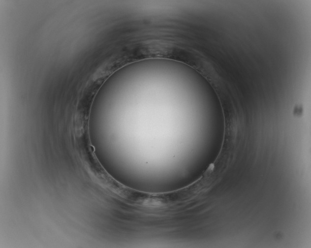 X0000115620751200911101415