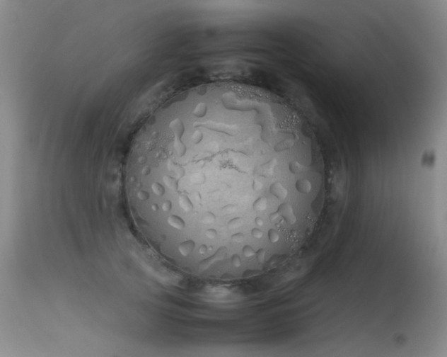 X0000115620753200911101415