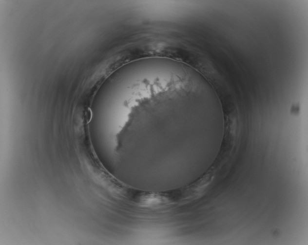 X0000115620754200911101415