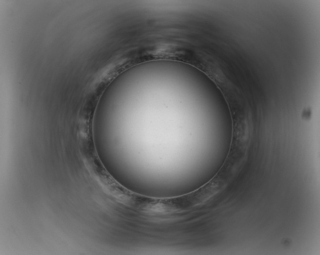 X0000115620755200911101415