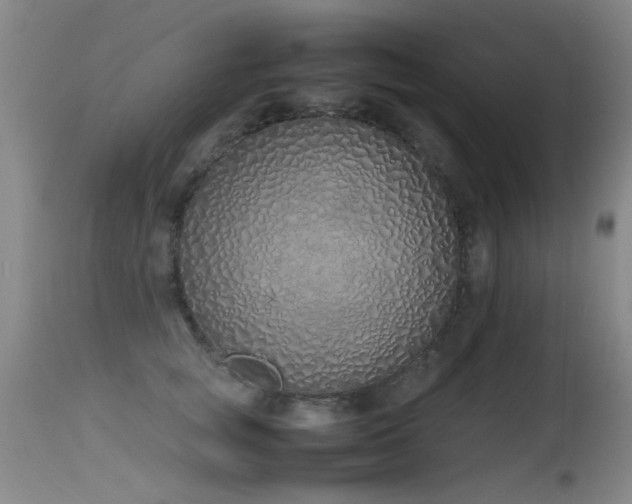 X0000115620757200911101415