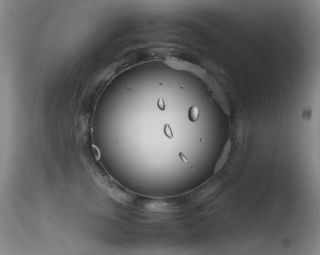 X0000115620759200911101415