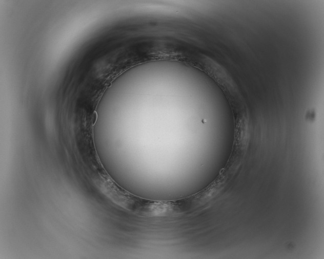 X0000115620762200911101415