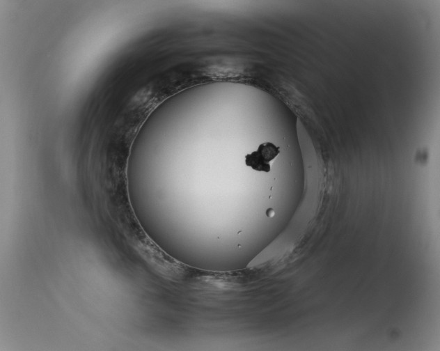 X0000115620763200911101415