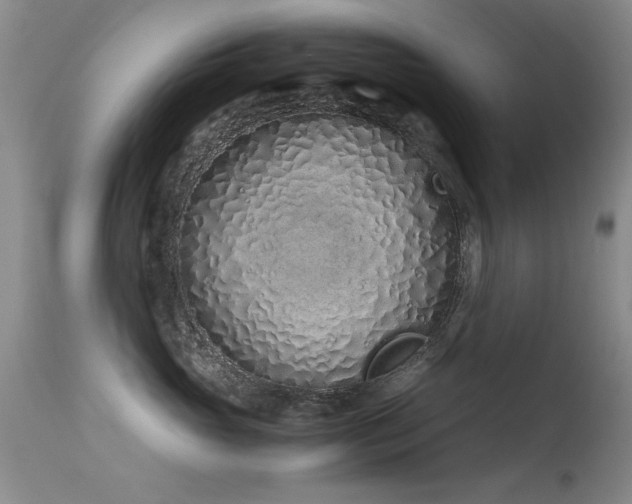 X0000115620765200911101415