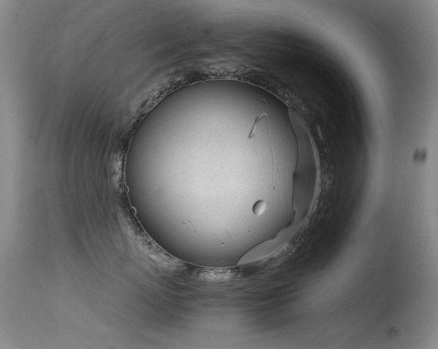 X0000115620767200911101415