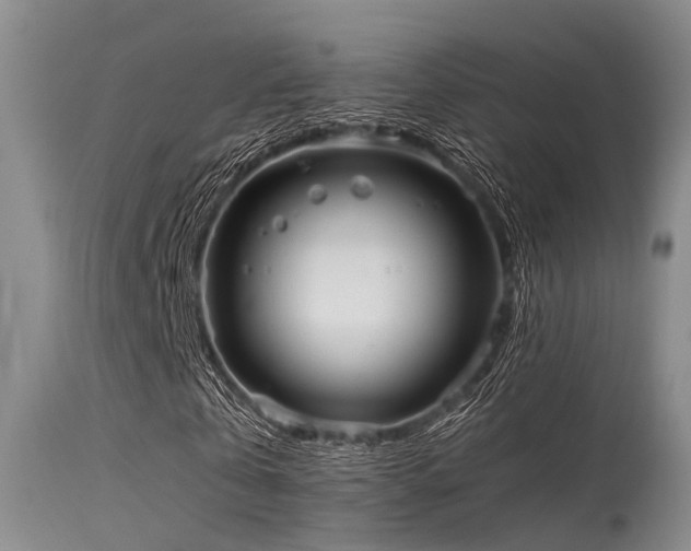 X0000115620769200911101415