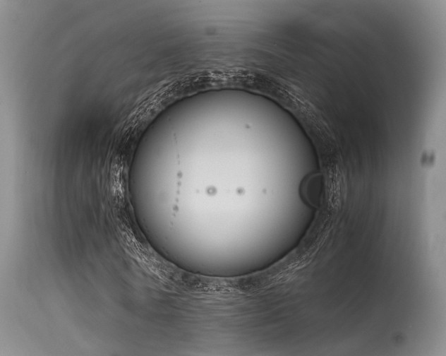 X0000115620770200911101415