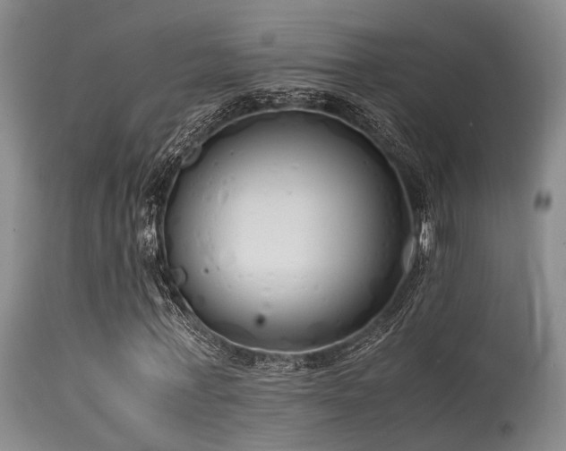 X0000115620771200911101415