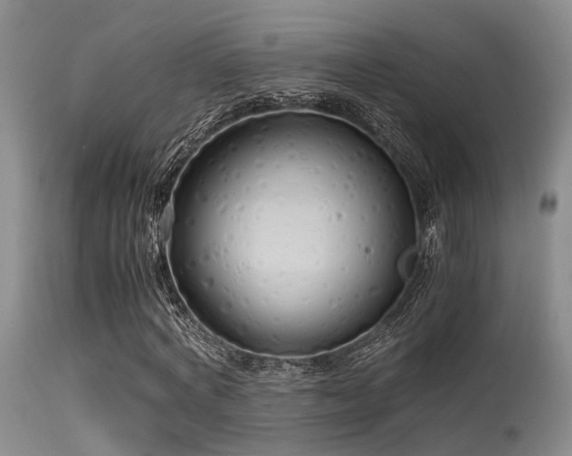 X0000115620772200911101415