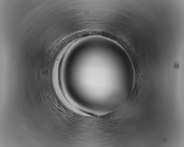 X0000115620773200911101414