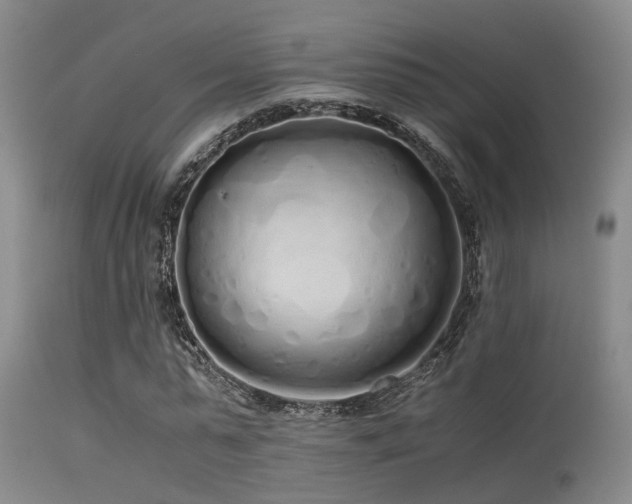 X0000115620775200911101414