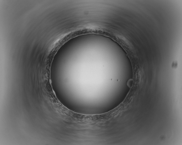 X0000115620776200911101414