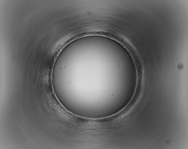 X0000115620777200911101414