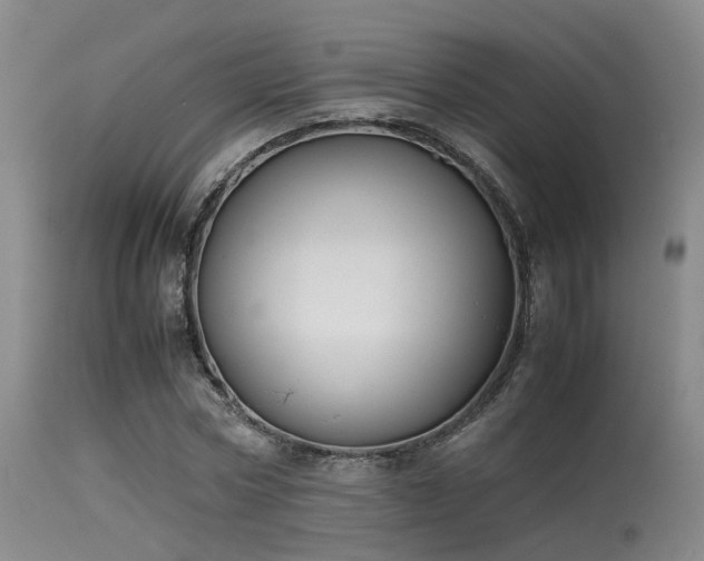 X0000115620778200911101414