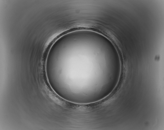 X0000115620779200911101414