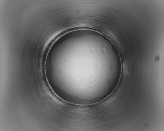 X0000115620780200911101414