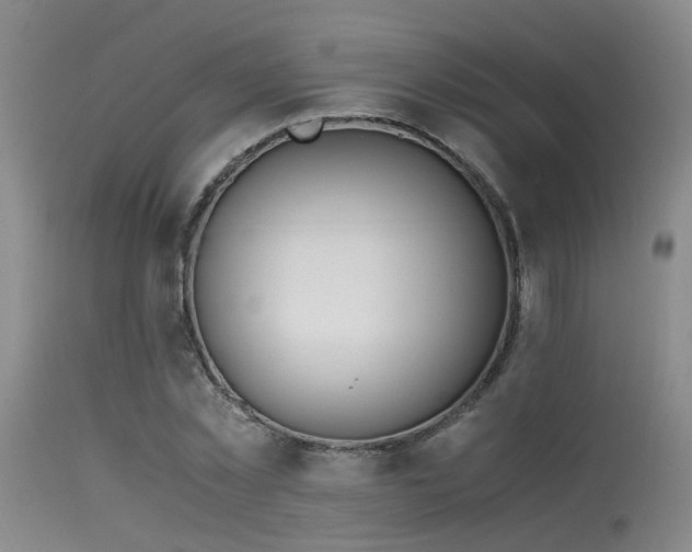 X0000115620781200911101414