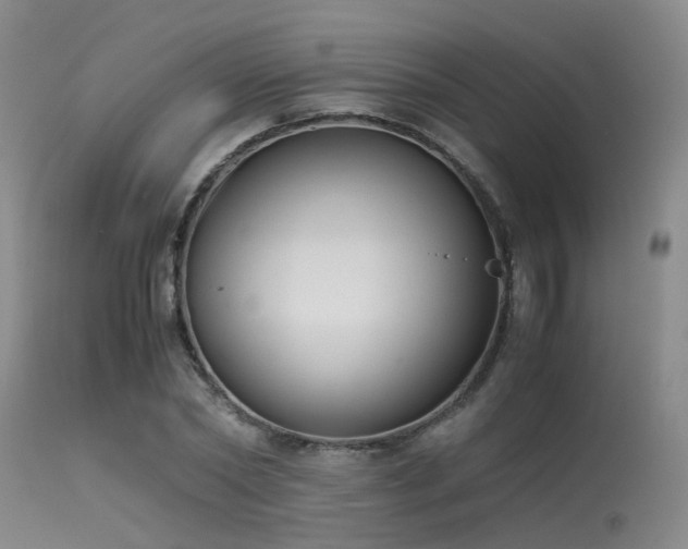 X0000115620782200911101414