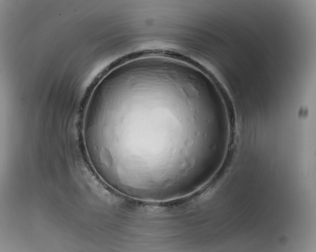 X0000115620783200911101414