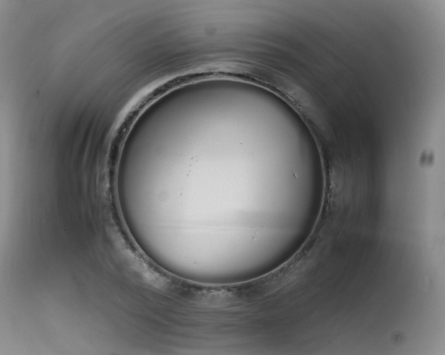 X0000115620784200911101414