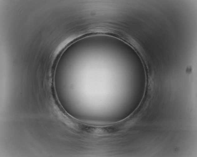 X0000115620787200911101414