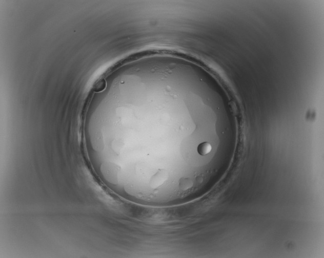 X0000115620791200911101414