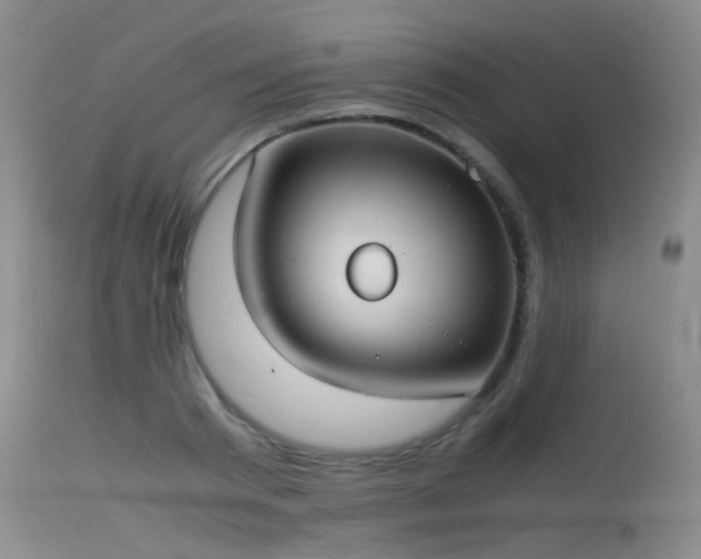 X0000115620793200911101414