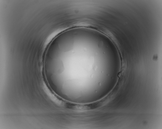 X0000115620795200911101414