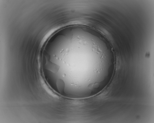 X0000115620796200911101414