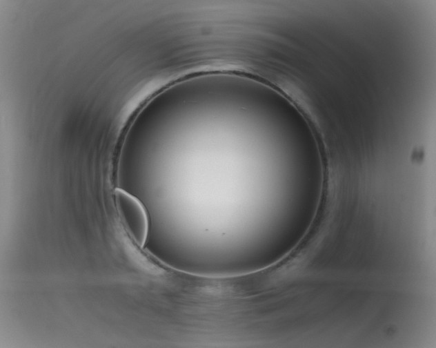 X0000115620797200911101414