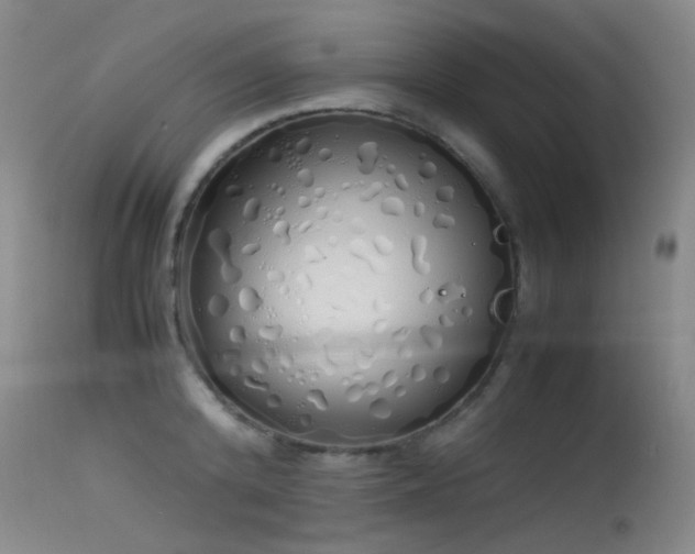 X0000115620800200911101414