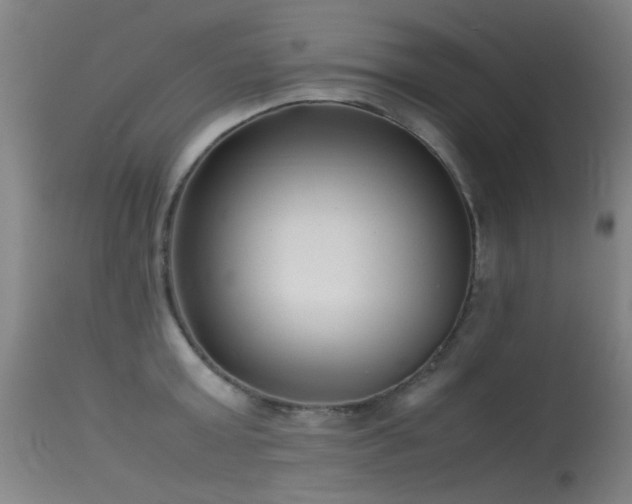 X0000115620803200911101414